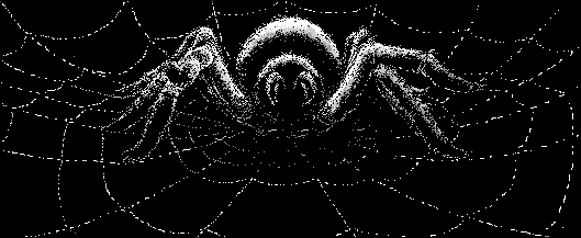 [spider web]